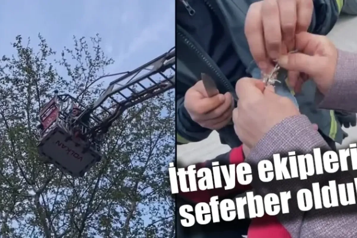 İtfaiye ekipleri seferber oldu!