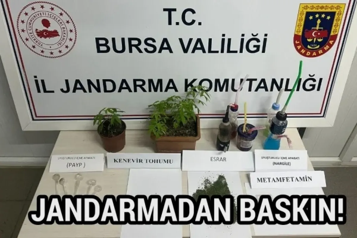 Jandarmadan baskın!
