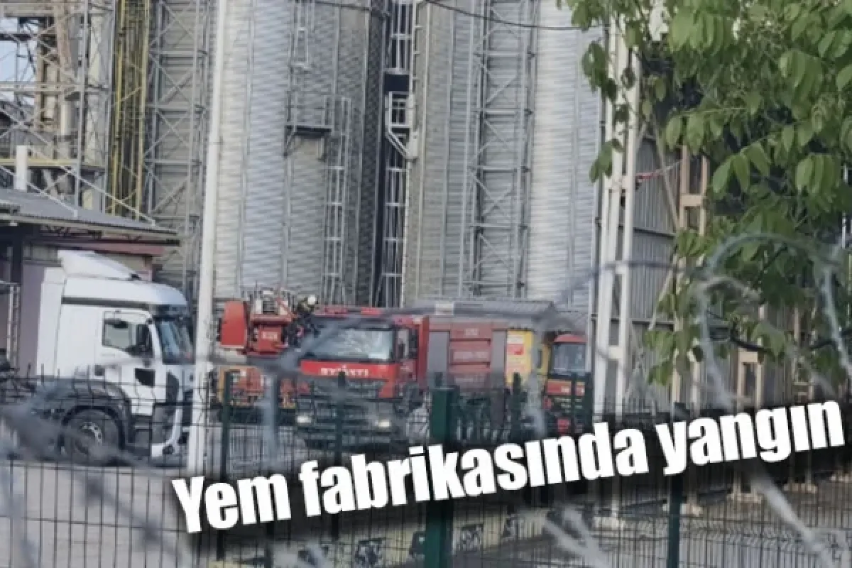 Yem fabrikasında yangın