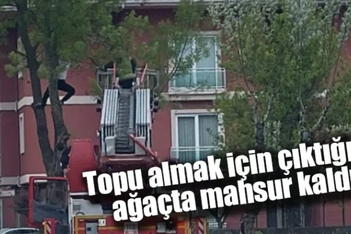 Topu almak için çıktığı ağaçta mahsur kaldı
