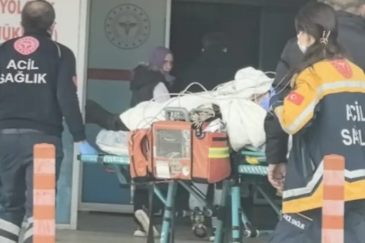 Tüm müdahalelere rağmen kurtarılamadı