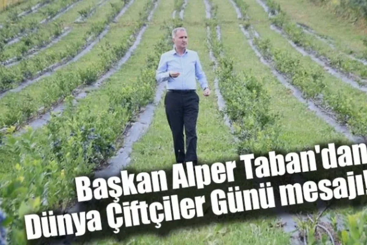Başkan Alper Taban'dan Dünya Çiftçiler Günü mesajı