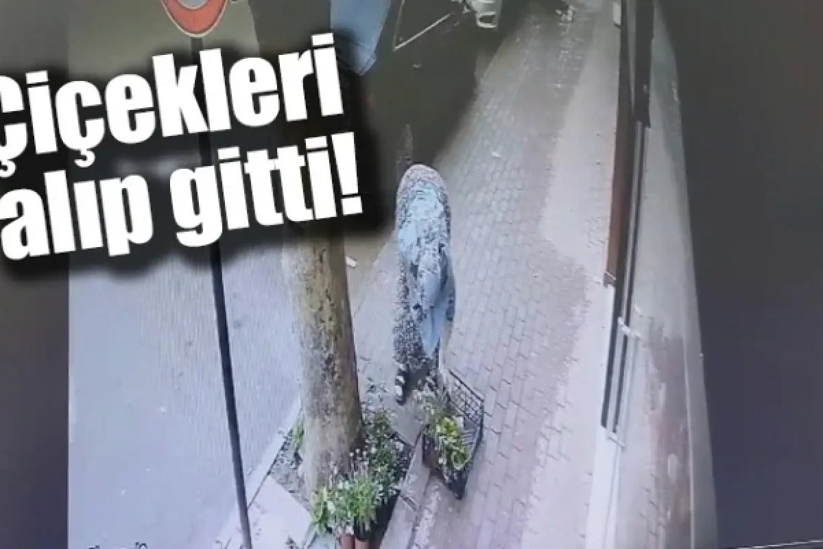 Çiçekleri alıp gitti!