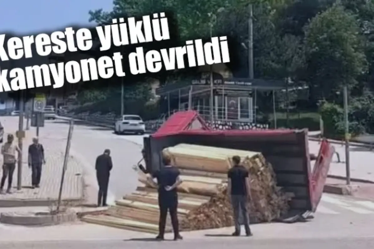 Kereste yüklü kamyonet devrildi