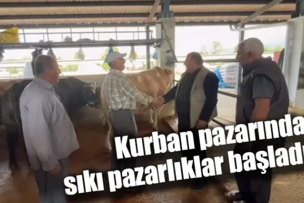 Kurban pazarında sıkı pazarlıklar başladı