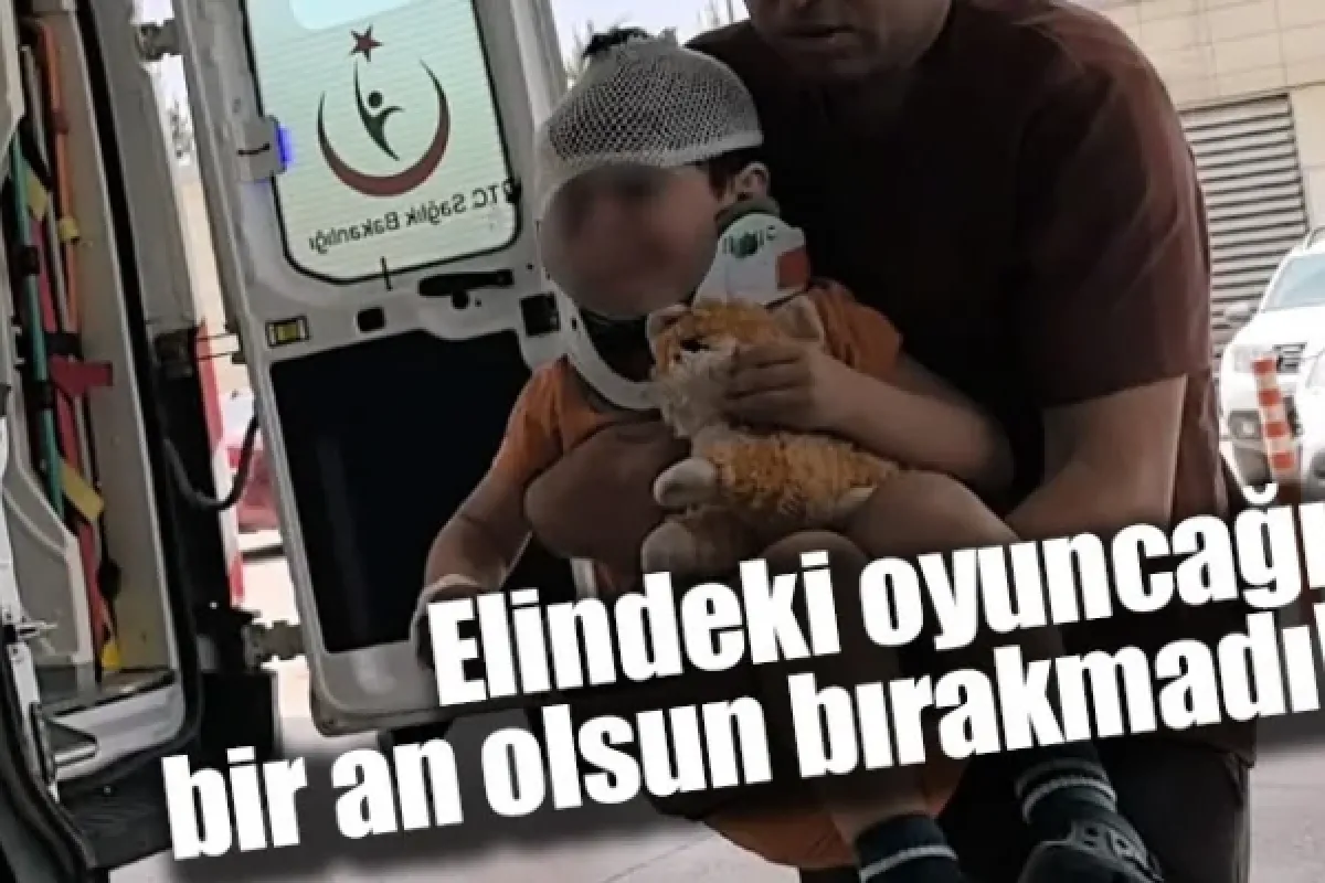 Elindeki oyuncağı bir an olsun bırakmadı!