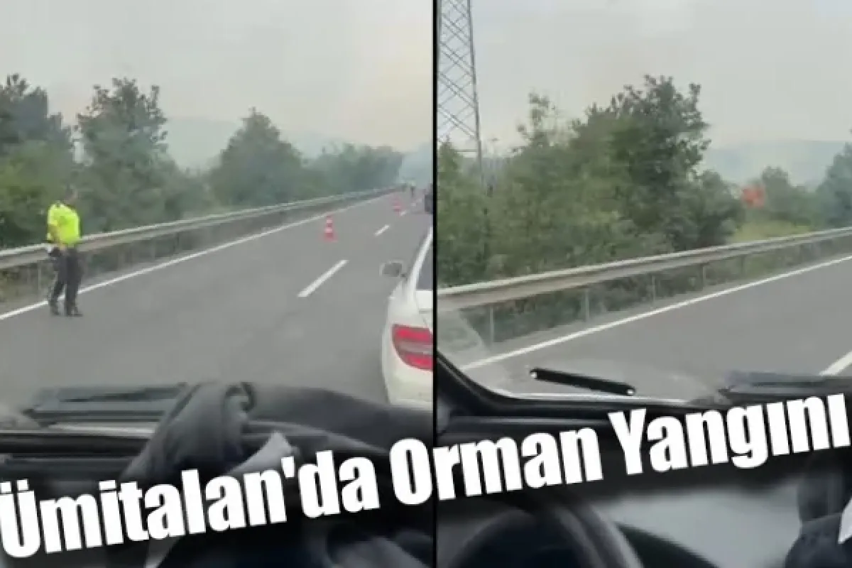 Ümitalan'da Orman Yangını