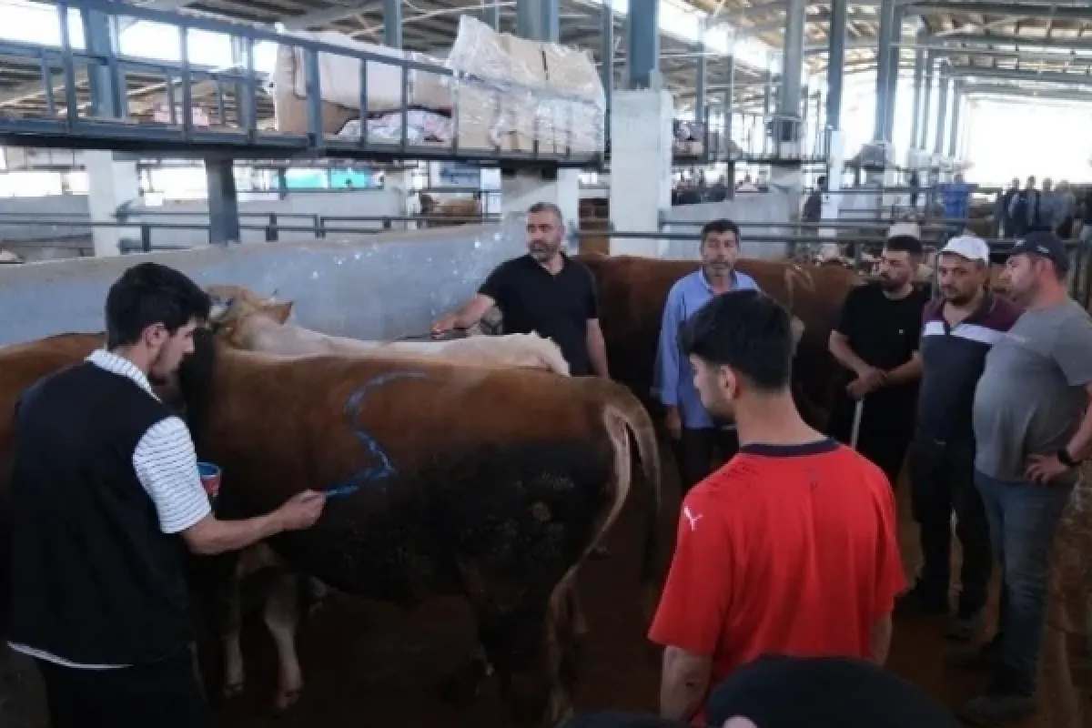 İnegöl Modern Hayvan Pazarı Beşinci Kez Bayram Sevinci Yaşattı