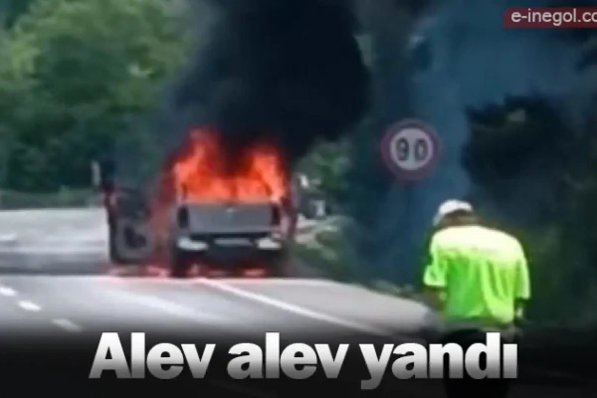 Alev alev yandı