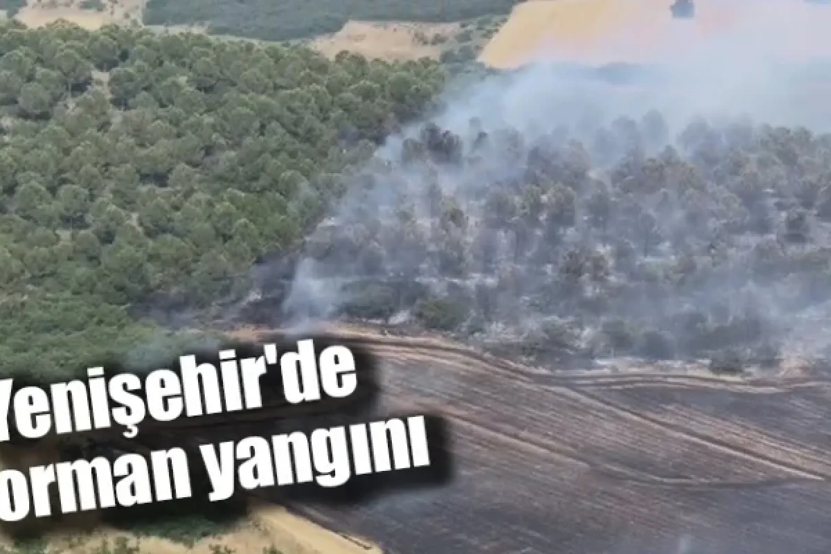 Yenişehir'de orman yangını