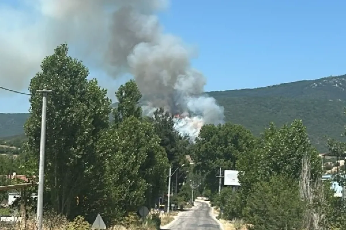 Yenişehir'de yangın