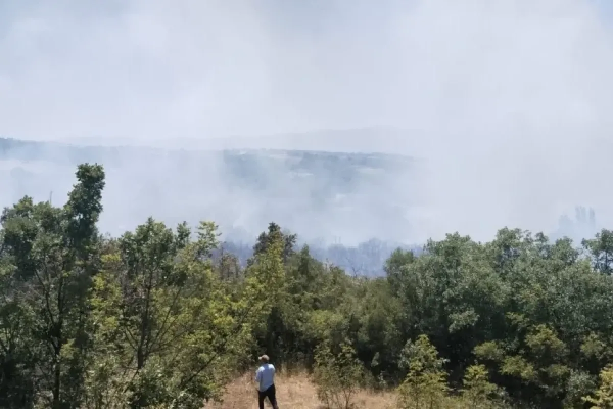 İnegöl'de orman yangını