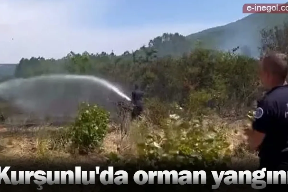 Kurşunlu'da orman yangını