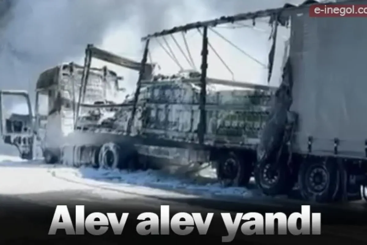 Alev alev yandı