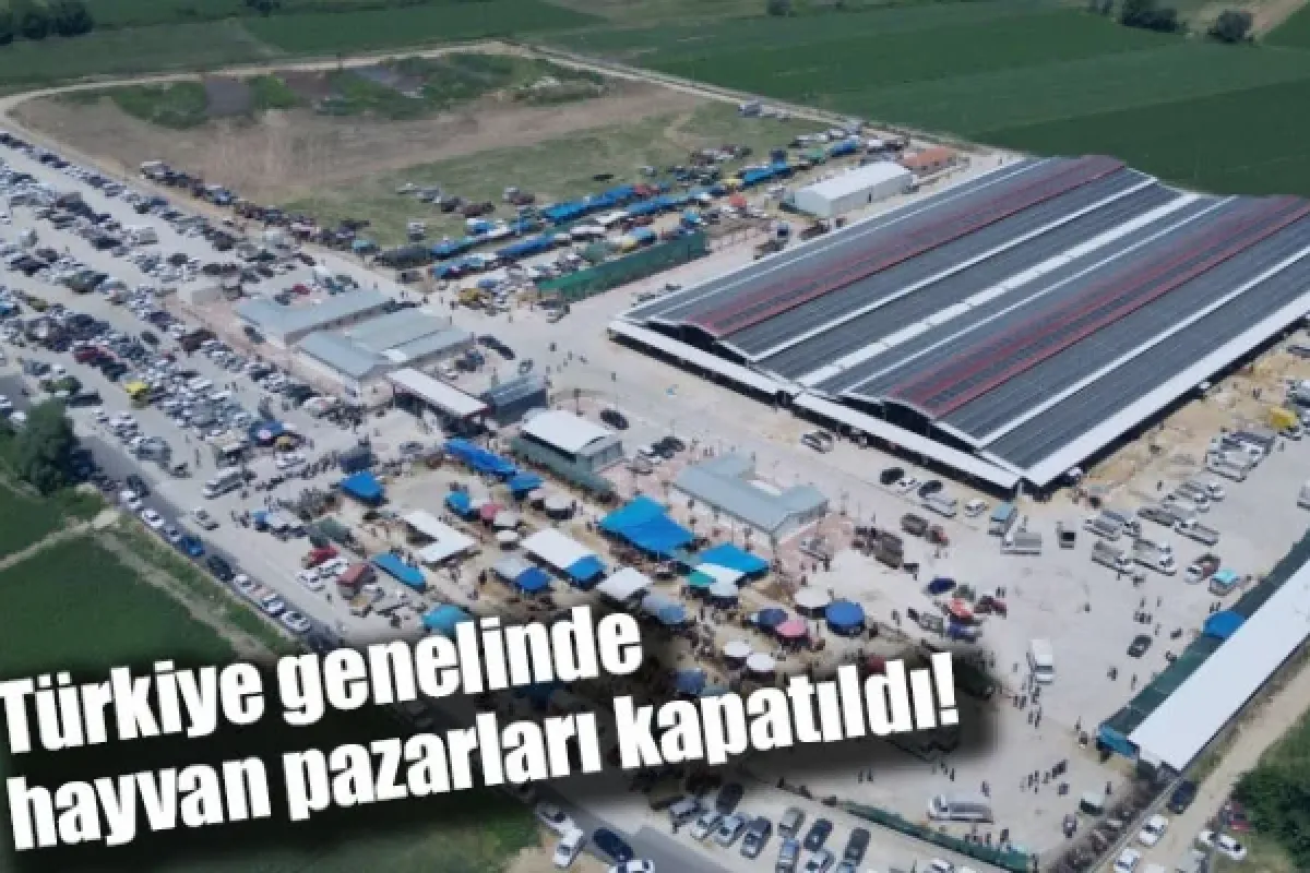 Türkiye genelinde hayvan pazarları kapatıldı!
