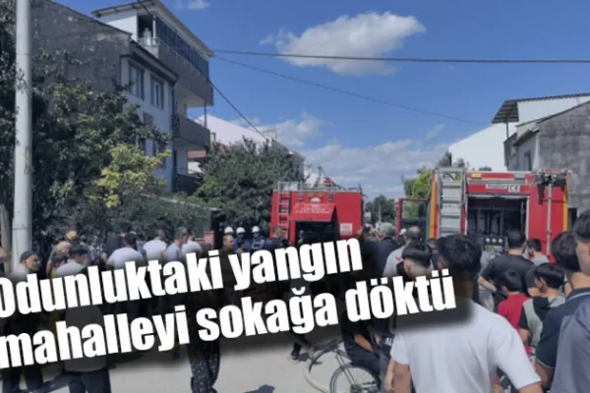 Odunluktaki yangın mahalleyi sokağa döktü
