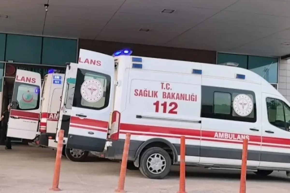 Akrep hastanelik etti!