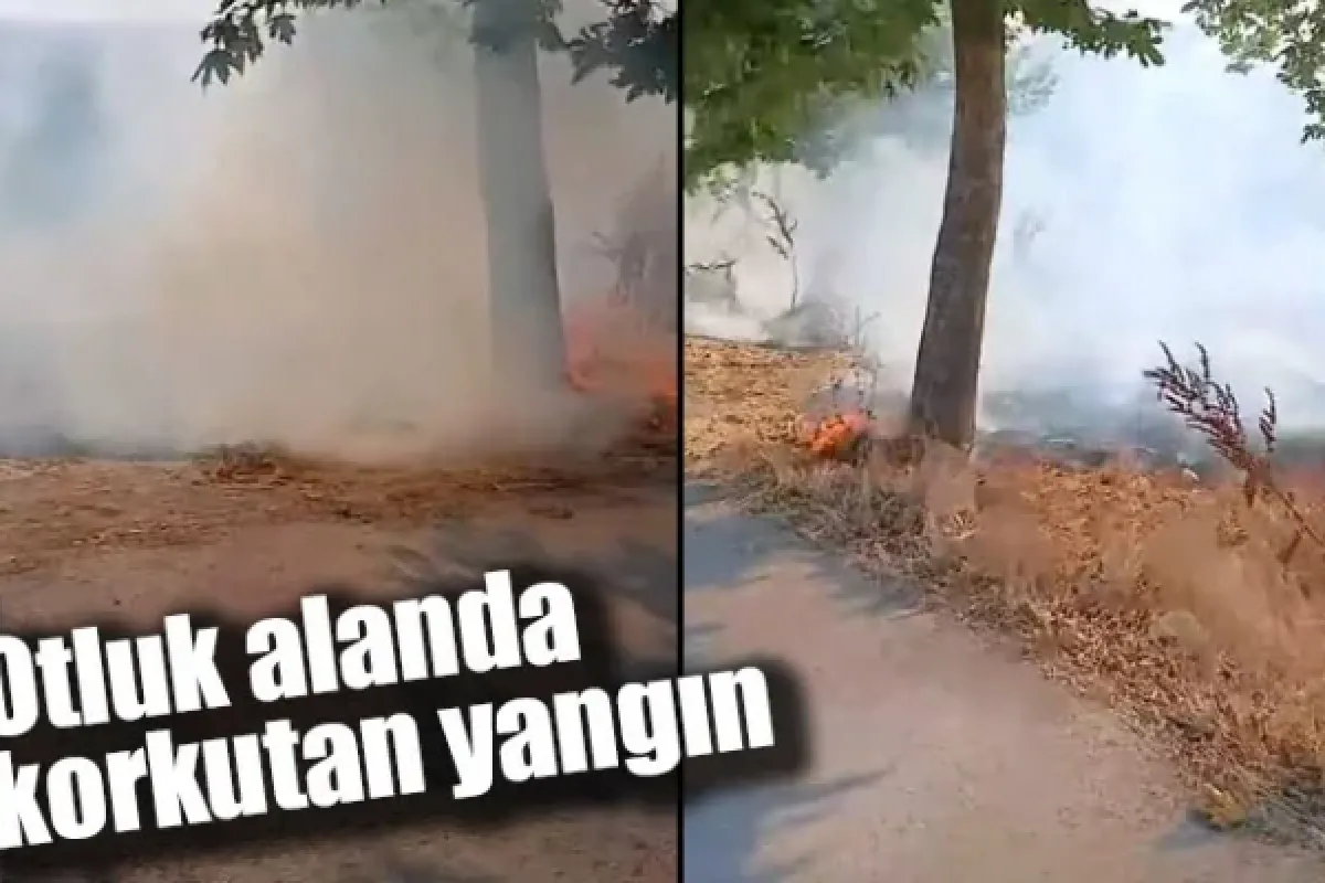 Otluk alanda korkutan yangın