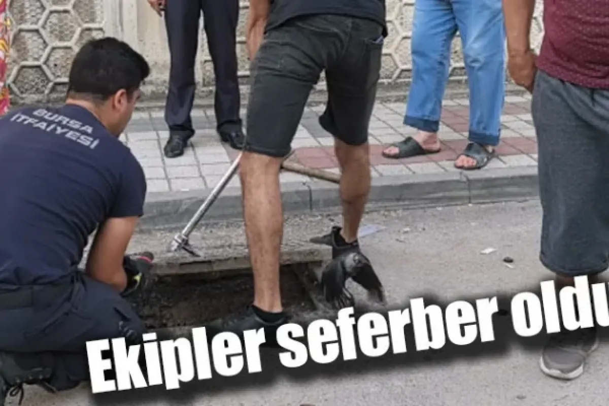 Ekipler seferber oldu