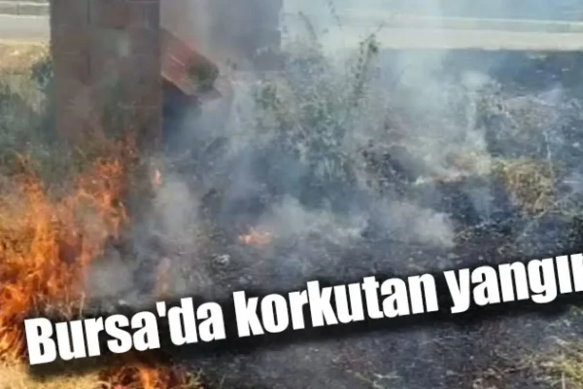 Bursa'da korkutan yangın