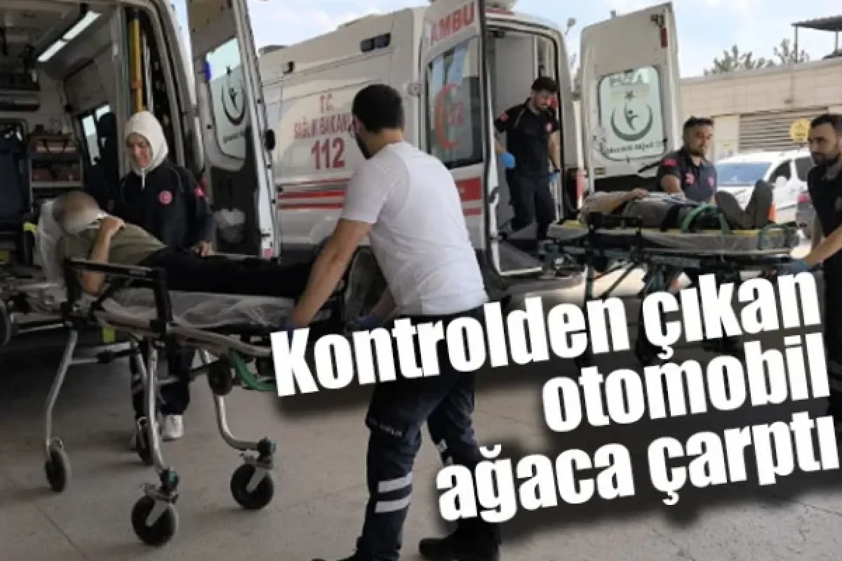 Kontrolden çıkan otomobil ağaca çarptı