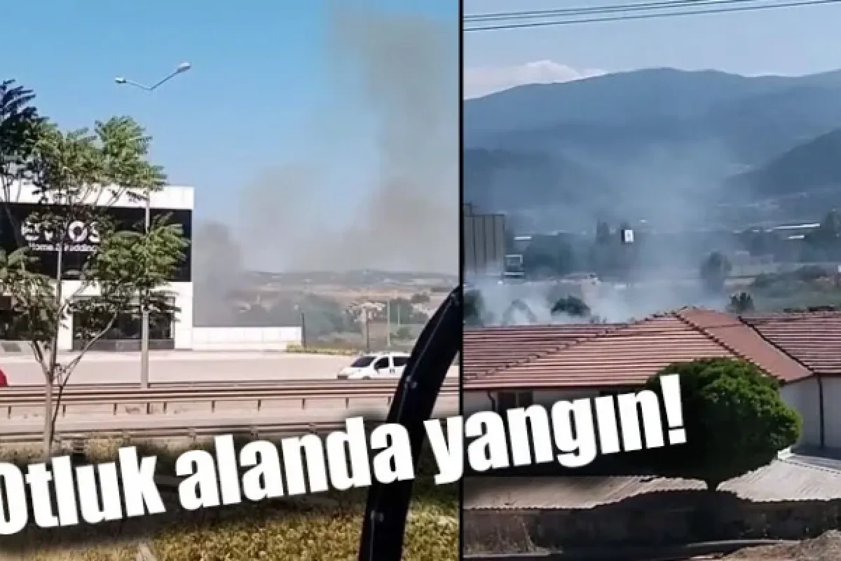 Otluk alanda yangın!