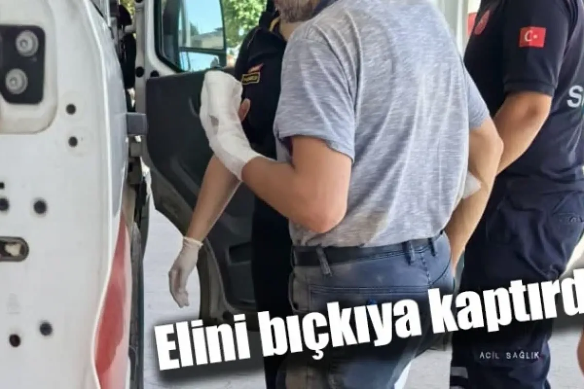 Elini bıçkıya kaptırdı