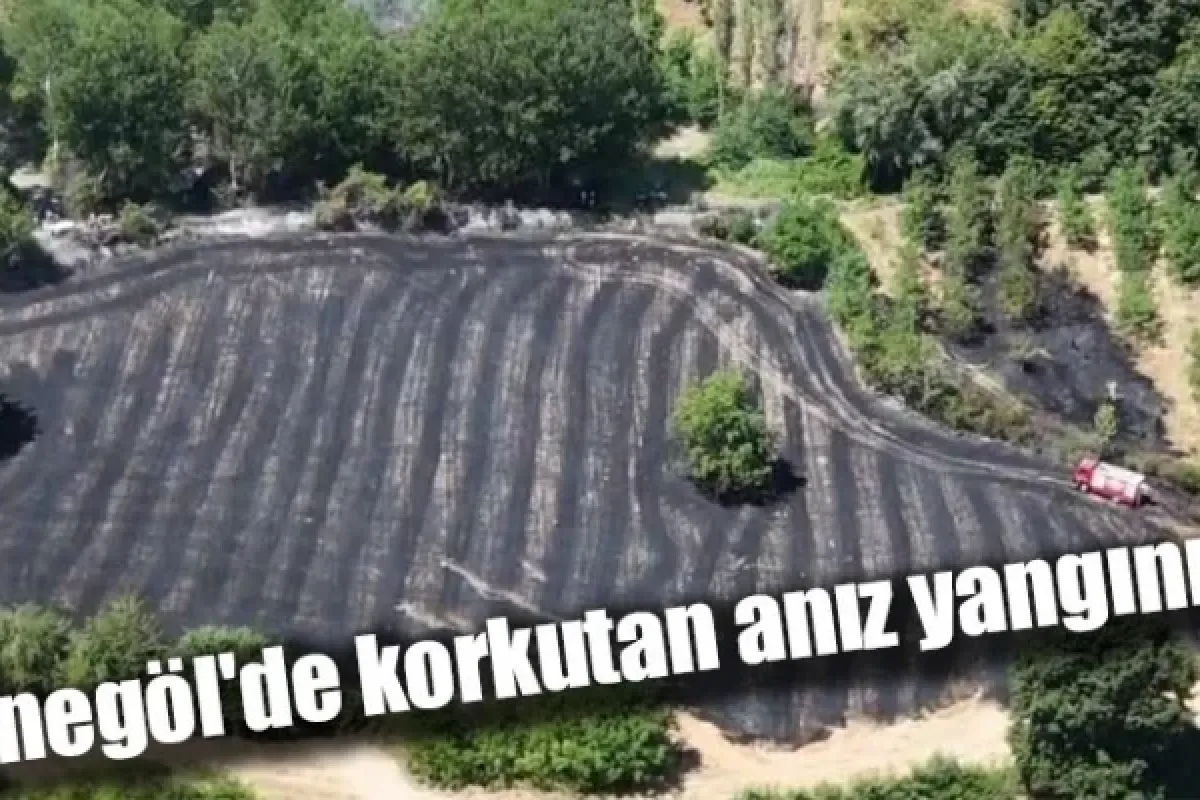 İnegöl'de korkutan anız yangını