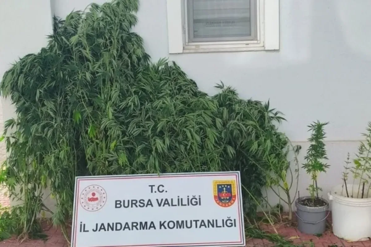 Jandarmadan baskın!