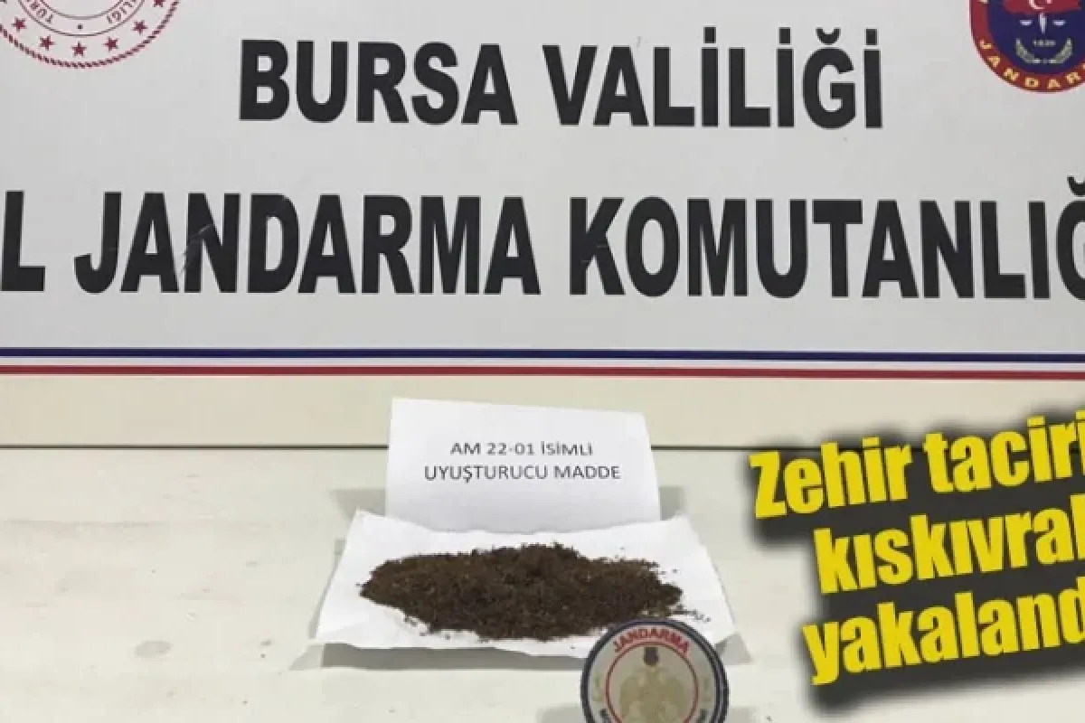 Zehir taciri kıskıvrak yakalandı