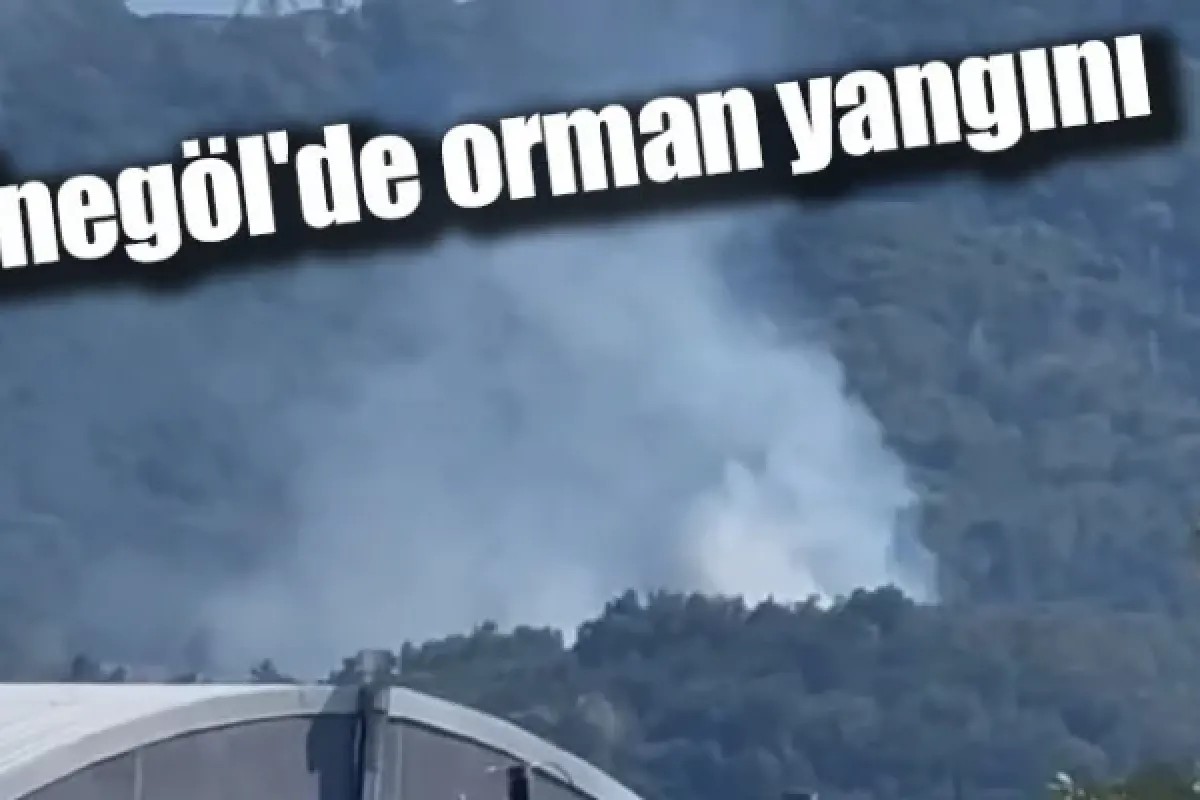 İnegöl'de orman yangını