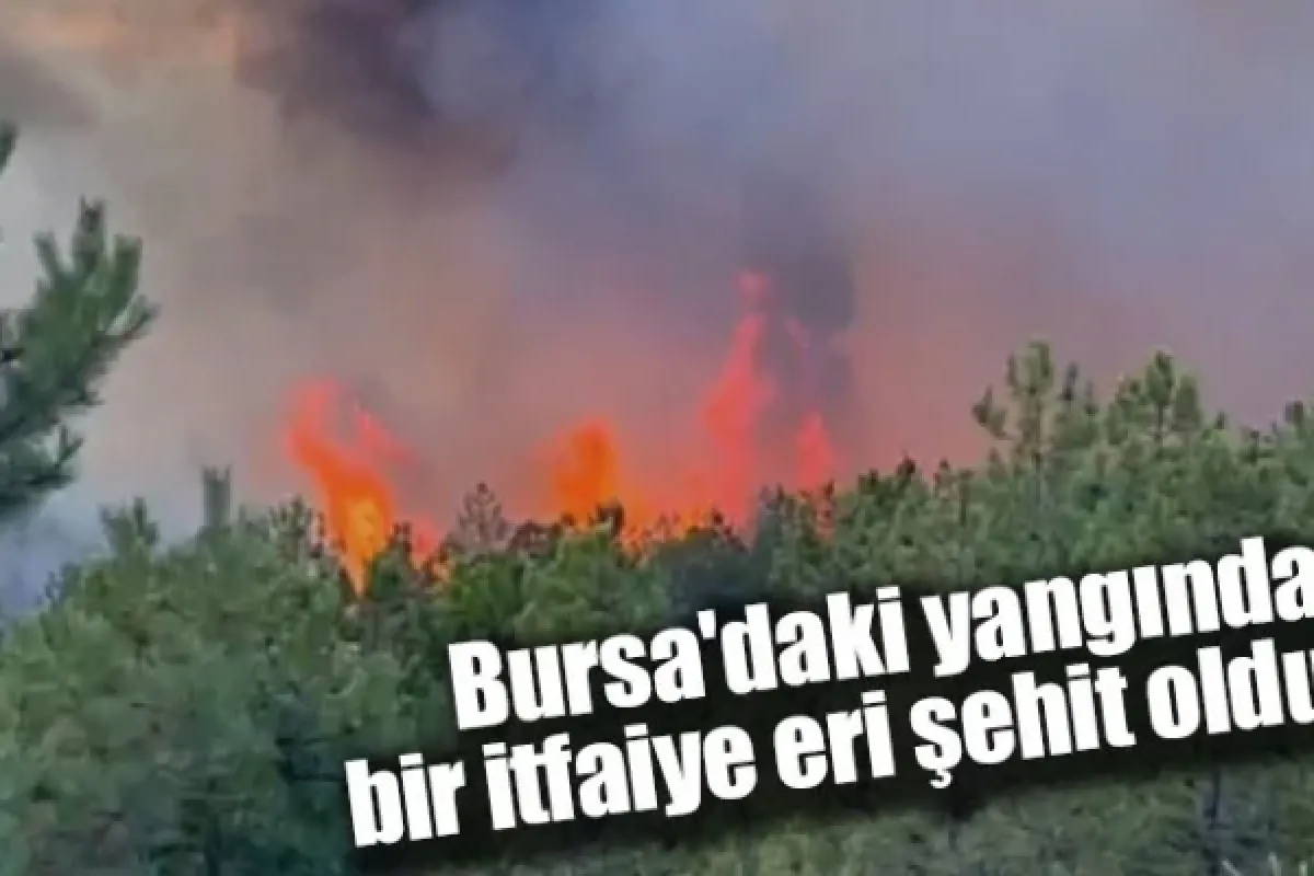 Bursa'daki yangında bir itfaiye eri şehit oldu