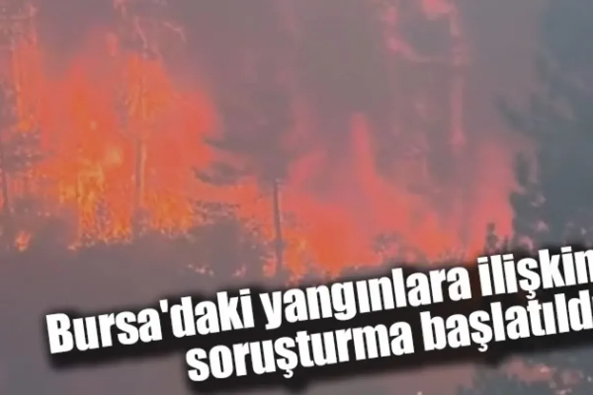 Bursa'daki yangınlara ilişkin soruşturma başlatıldı