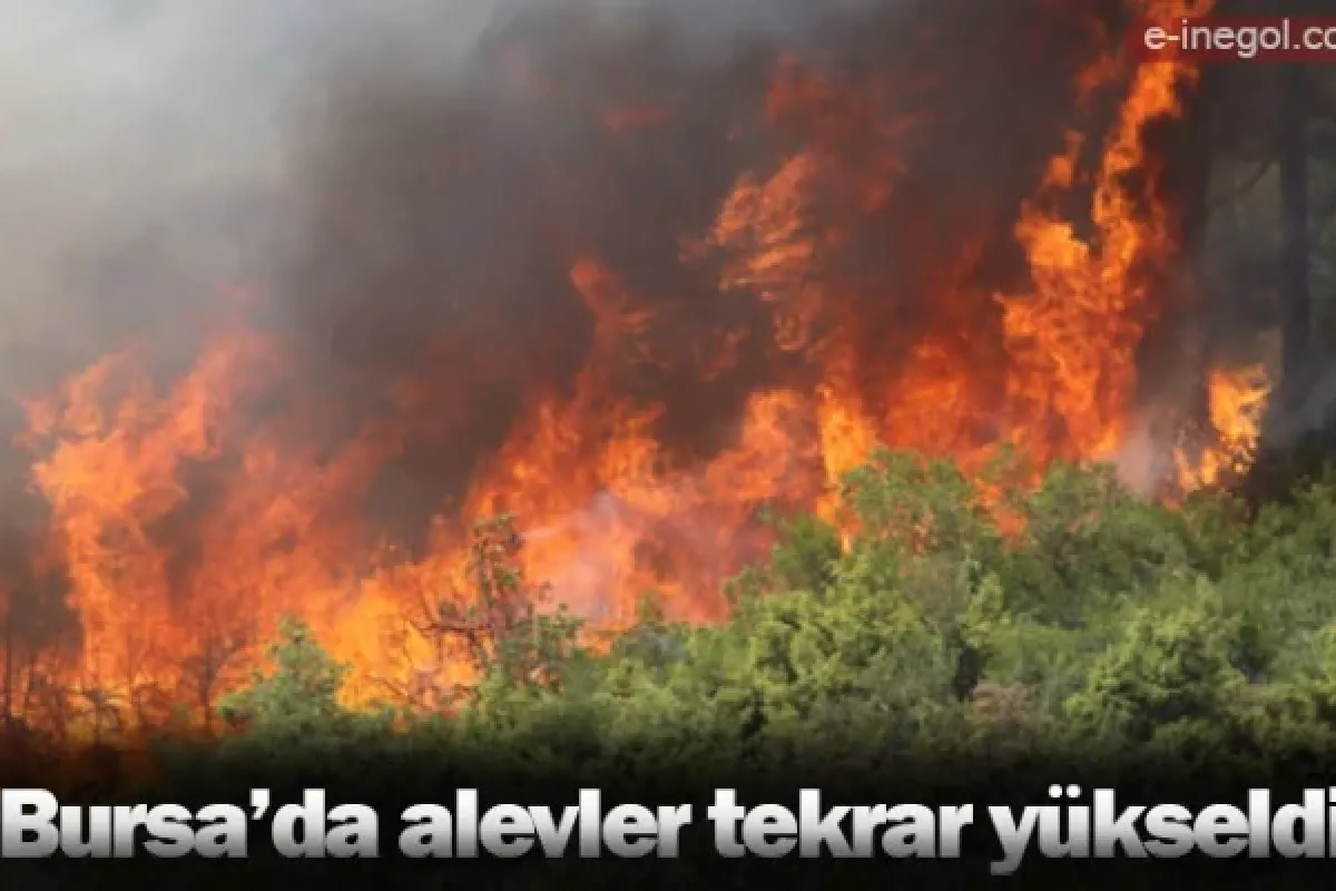 Bursa’da alevler tekrar yükseldi