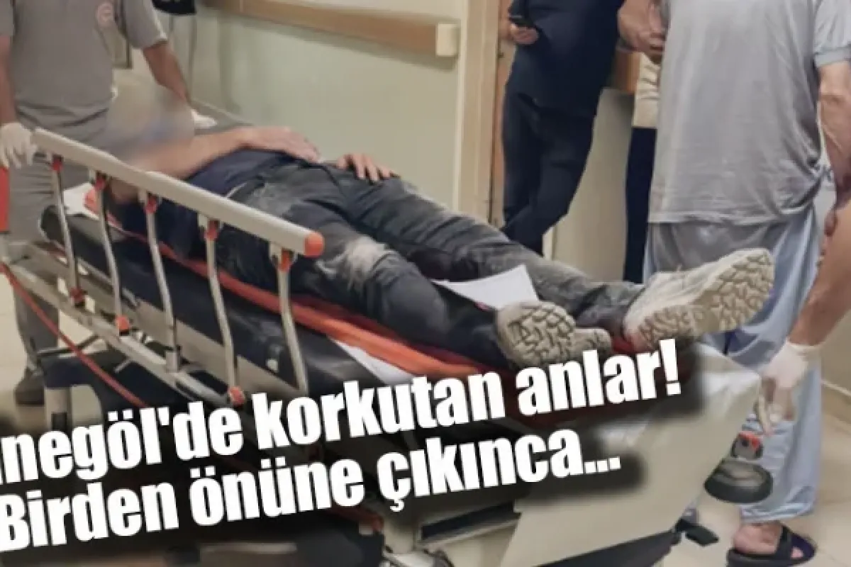 İnegöl'de korkutan anlar! Birden önüne çıkınca...