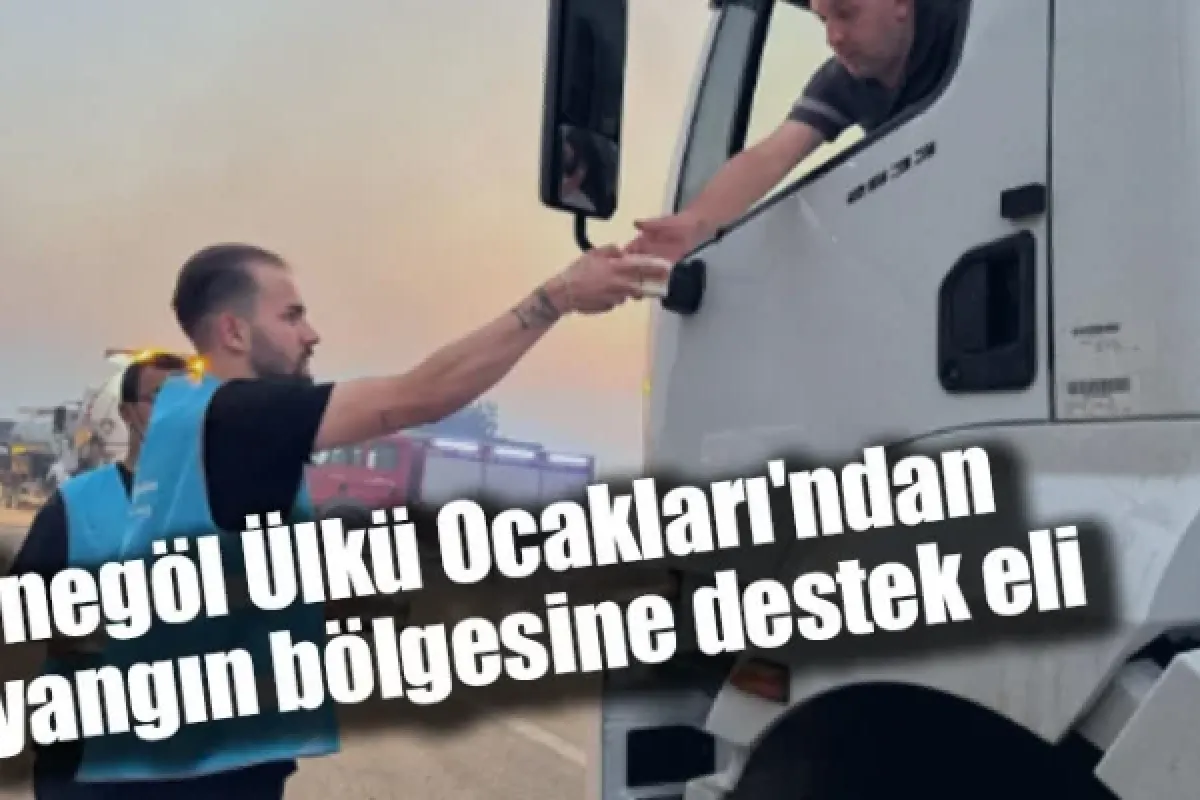 İnegöl Ülkü Ocakları'ndan yangın bölgesine destek eli