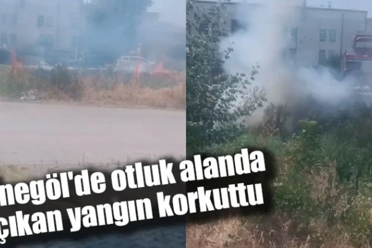 İnegöl'de otluk alanda çıkan yangın korkuttu