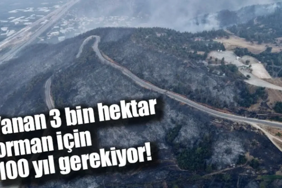 Yanan 3 bin hektar orman için 100 yıl gerekiyor!