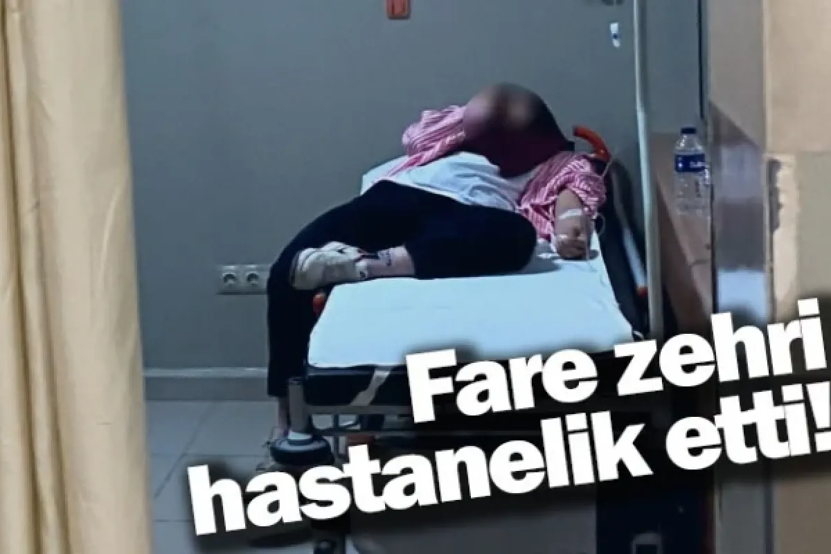 Fare zehri hastanelik etti!