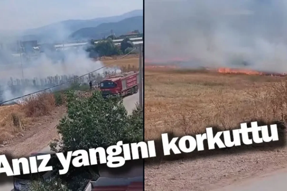 Anız yangını korkuttu