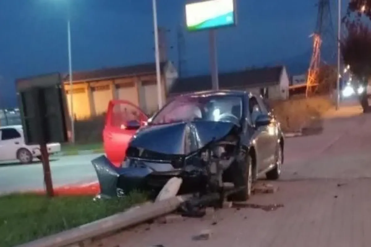 Direğe daldı!
