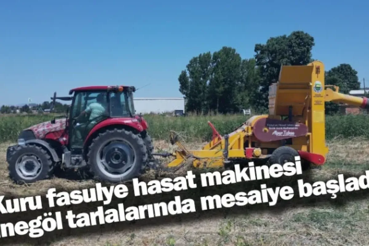 Kuru fasulye hasat makinesi İnegöl tarlalarında mesaiye başladı