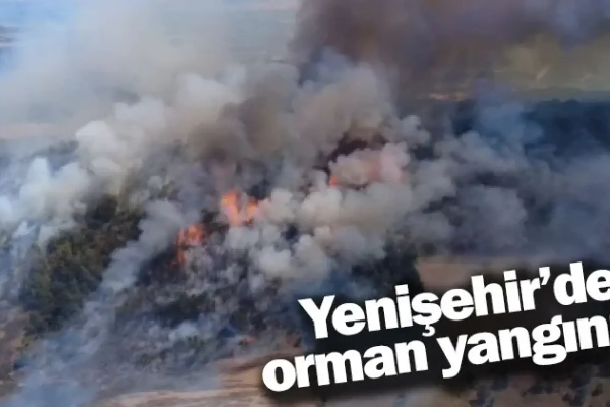 Yenişehir’de orman yangını