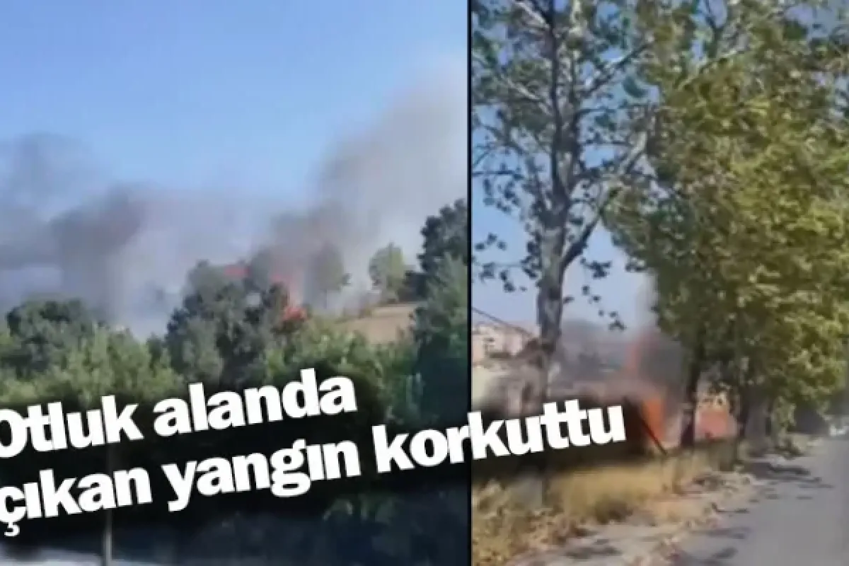 Otluk alanda çıkan yangın korkuttu