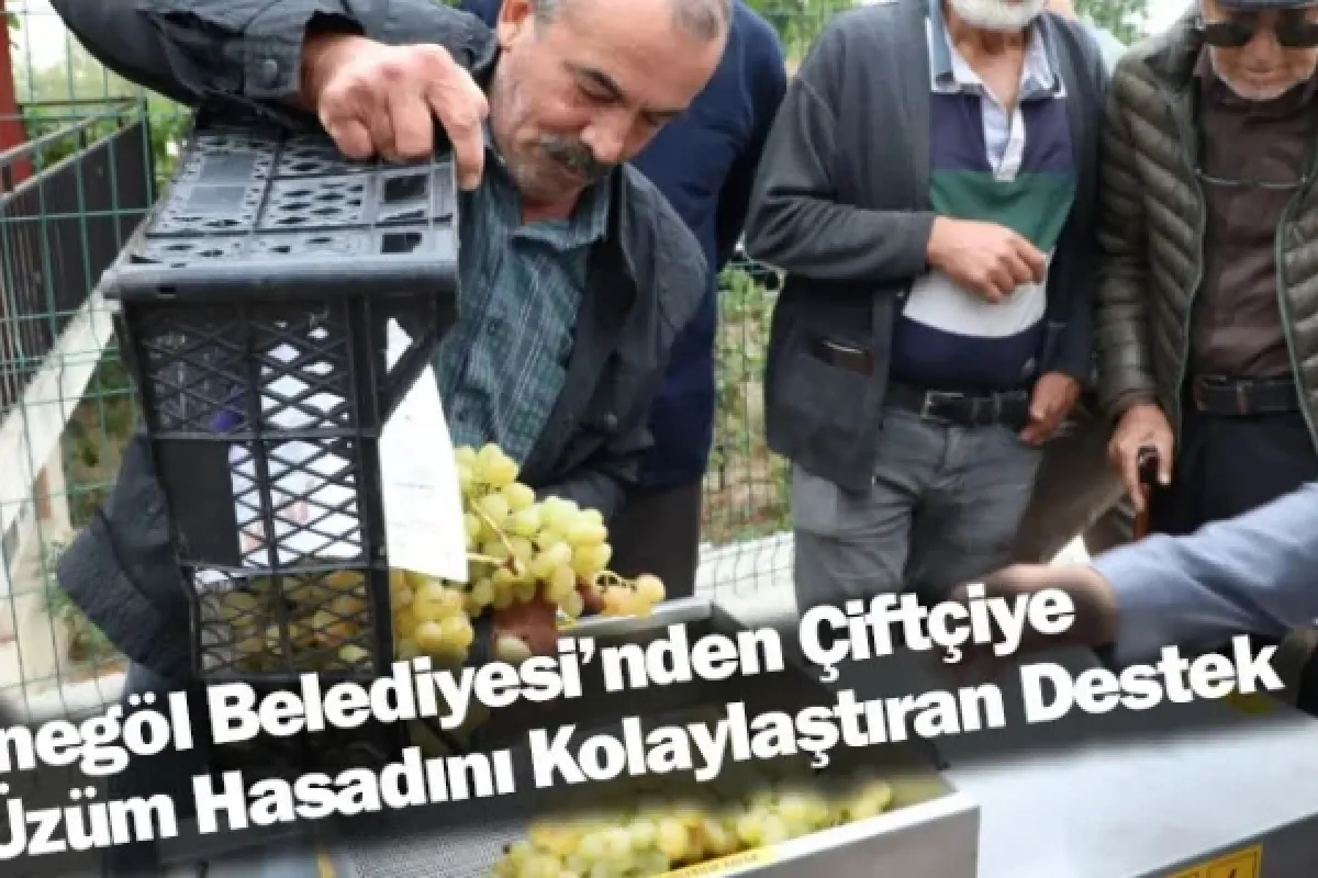İnegöl Belediyesi’nden Çiftçiye Üzüm Hasadını Kolaylaştıran Destek