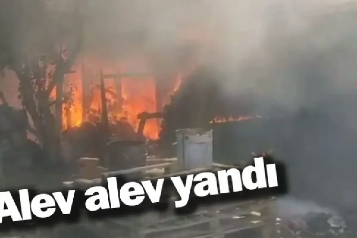 Alev alev yandı