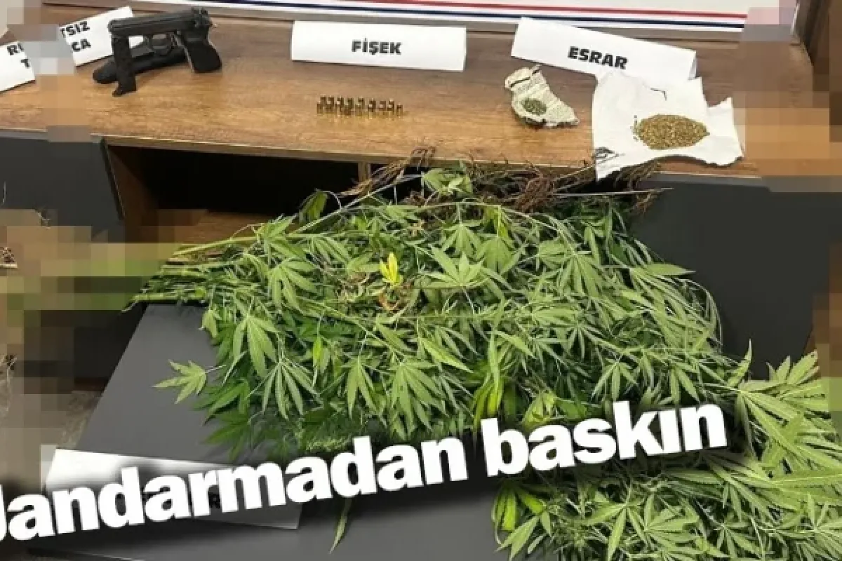 Jandarmadan baskın 