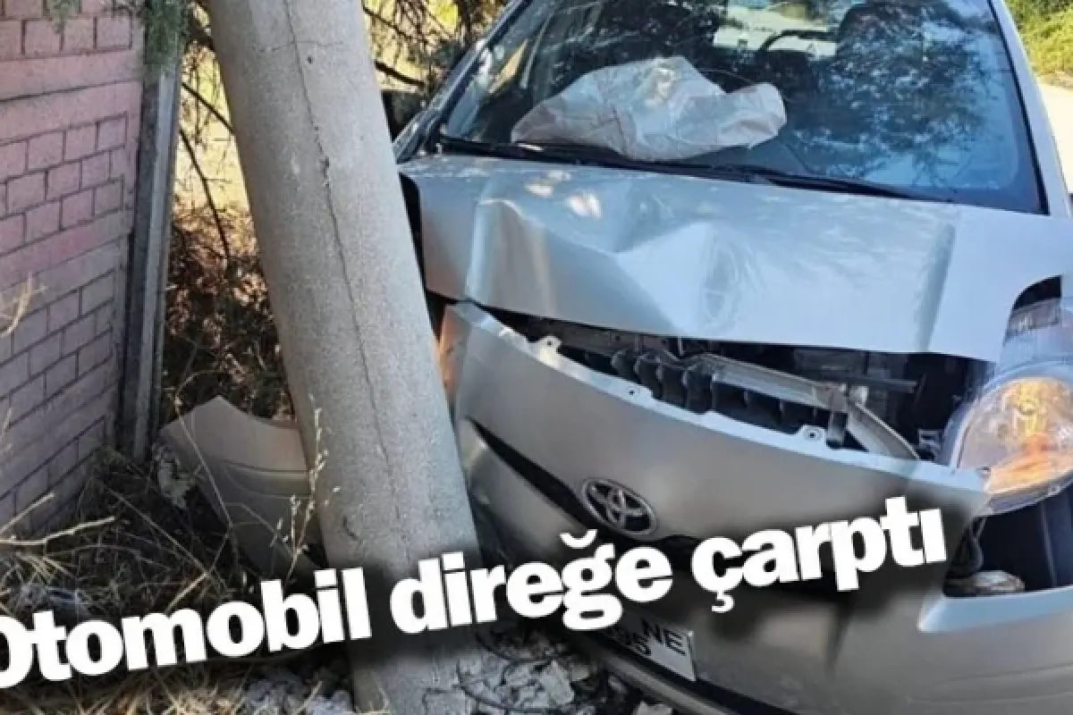 Otomobil direğe çarptı