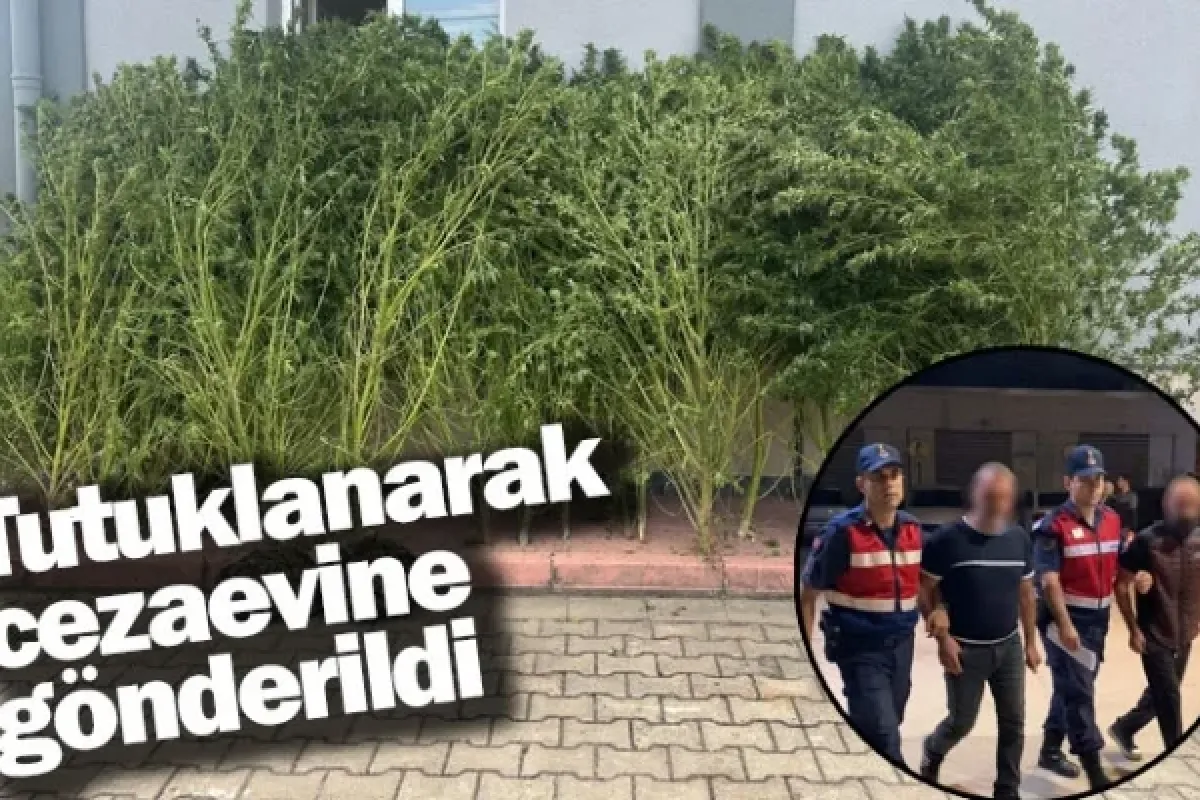 Tutuklanarak cezaevine gönderildi