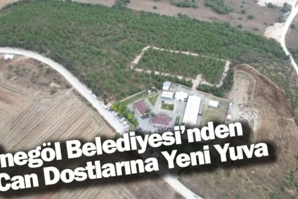 İnegöl Belediyesi’nden Can Dostlarına Yeni Yuva